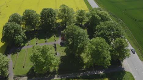 Aerial-view-over-a-road-going-through-a-yellow-canola-field-in-Sweden