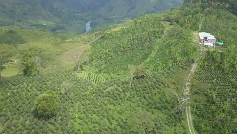 aerial view of the coffee region at huila, colombia