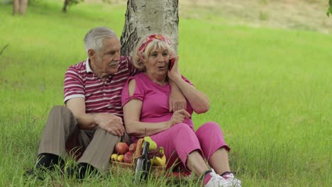 picnic familiar de fin de semana. pareja de abuelos mayores en el parque usando teléfono inteligente llamada de video en línea