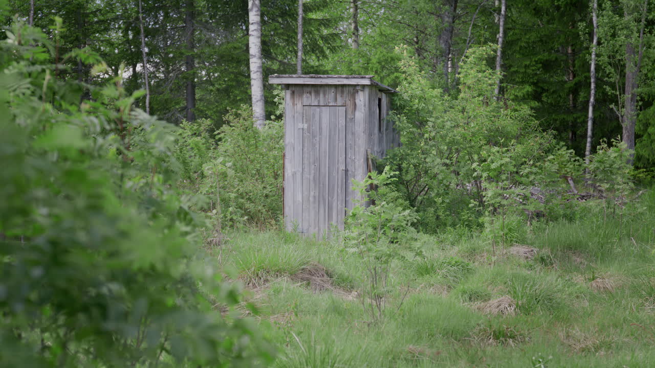 Old weathered wooden outdoor toilet surrounded by tall grass and dense green forest in remote natural woodland area