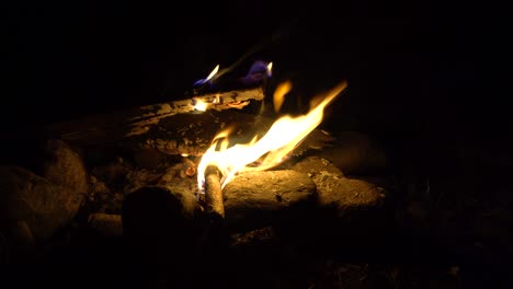 4k imágenes de hoguera quemando árboles por la noche.