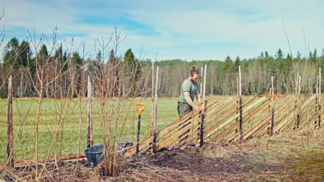 man building skigard - traditional fence in rural norway - timelapse