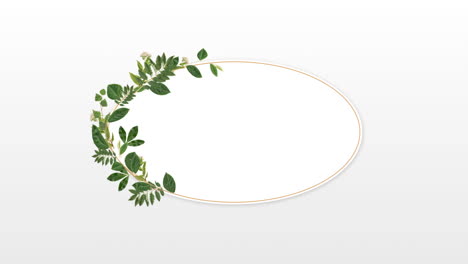 marco fotográfico para el espacio de copia con plantas decorativas