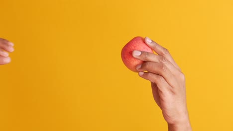 hands holding an apple