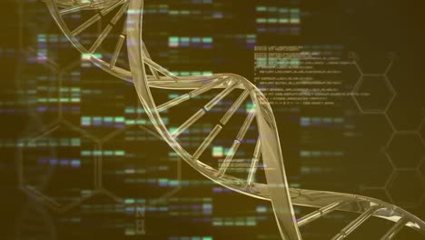 Animation-Einer-DNA-Helix,-Die-Sich-über-Beleuchtete-Balkendiagramme-Und-Computersprache-Dreht