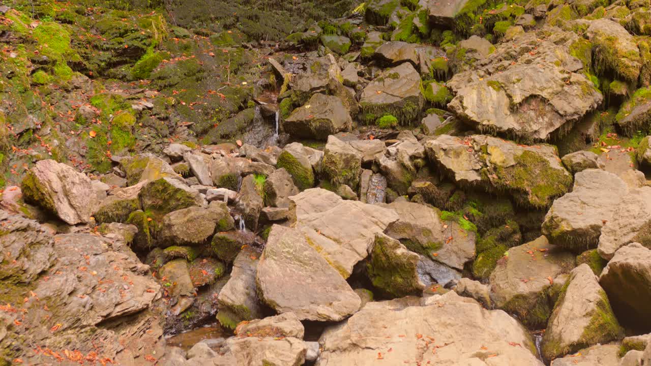 Discover the soothing flow of a stream as water cascades over smooth rocks. This serene setting showcases a gentle natural rhythm, perfect for relaxation and meditation