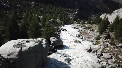 muddy river with a lot of current in a swiss alps valley with fir forest, rocks on the river path