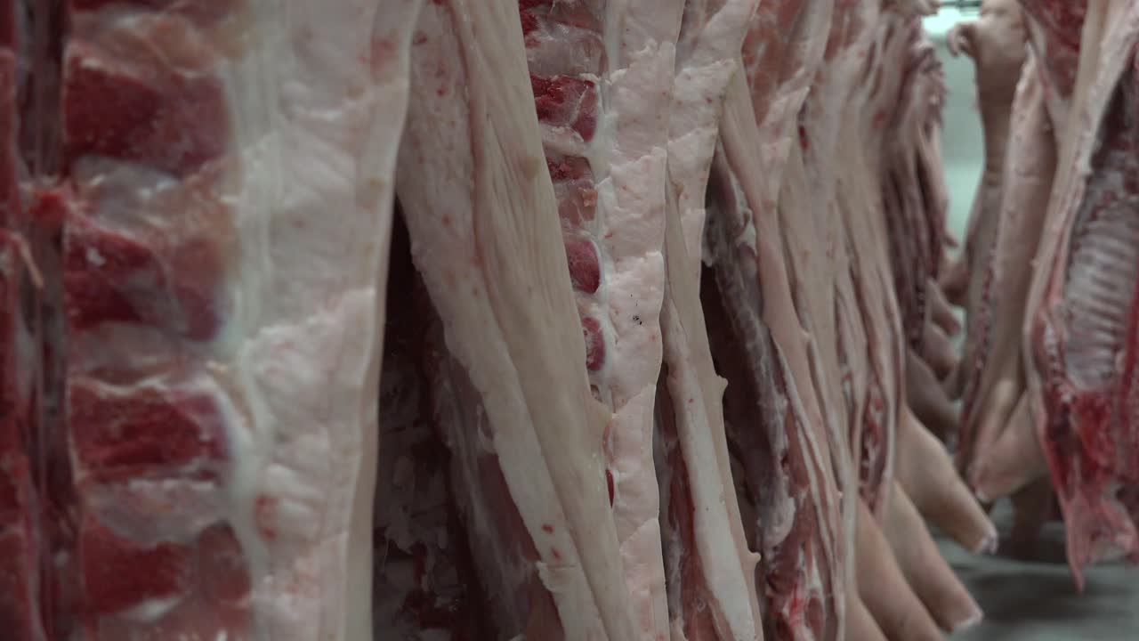 el cerdo se come tanto recién cocido como en conserva