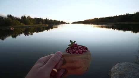 pov shot of lingonberries in wooden cup at clean lake in northern europe