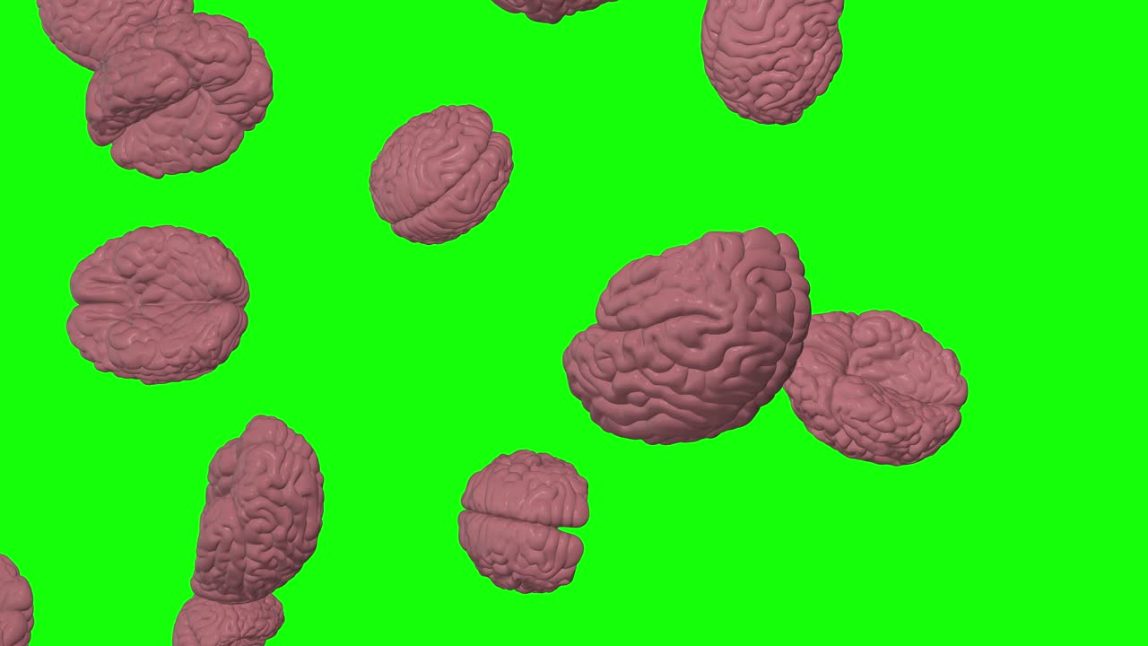 분홍색 인간의 두뇌가 녹색 화면에 떨어집니다.