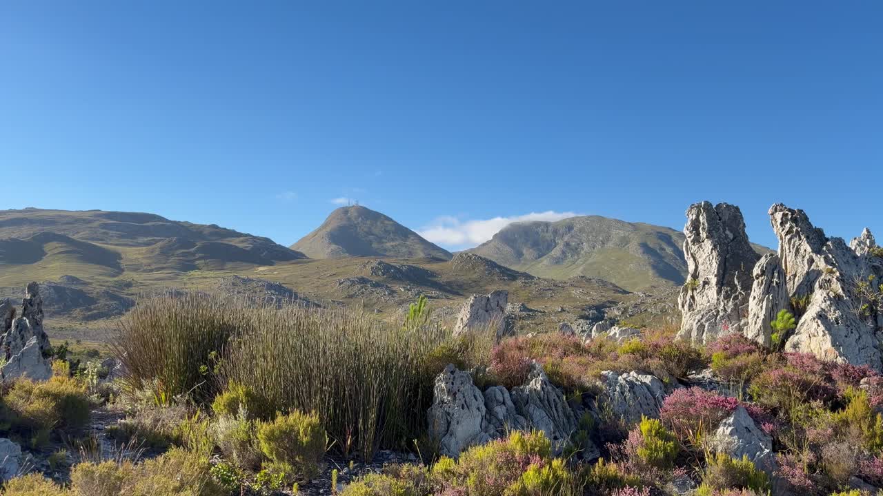 Giardino roccioso e montagne a Città del Capo.