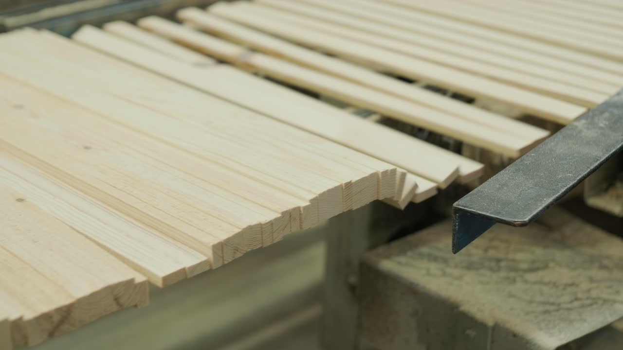 Wooden Planks Moving on Conveyor Belt in Woodworking Factory