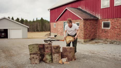 man chopping firewood with an axe - wide shot