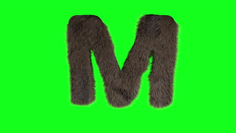 furry hairy 3d letter m on green screen