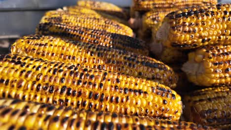 mazorcas de maíz a la parrilla en exhibición