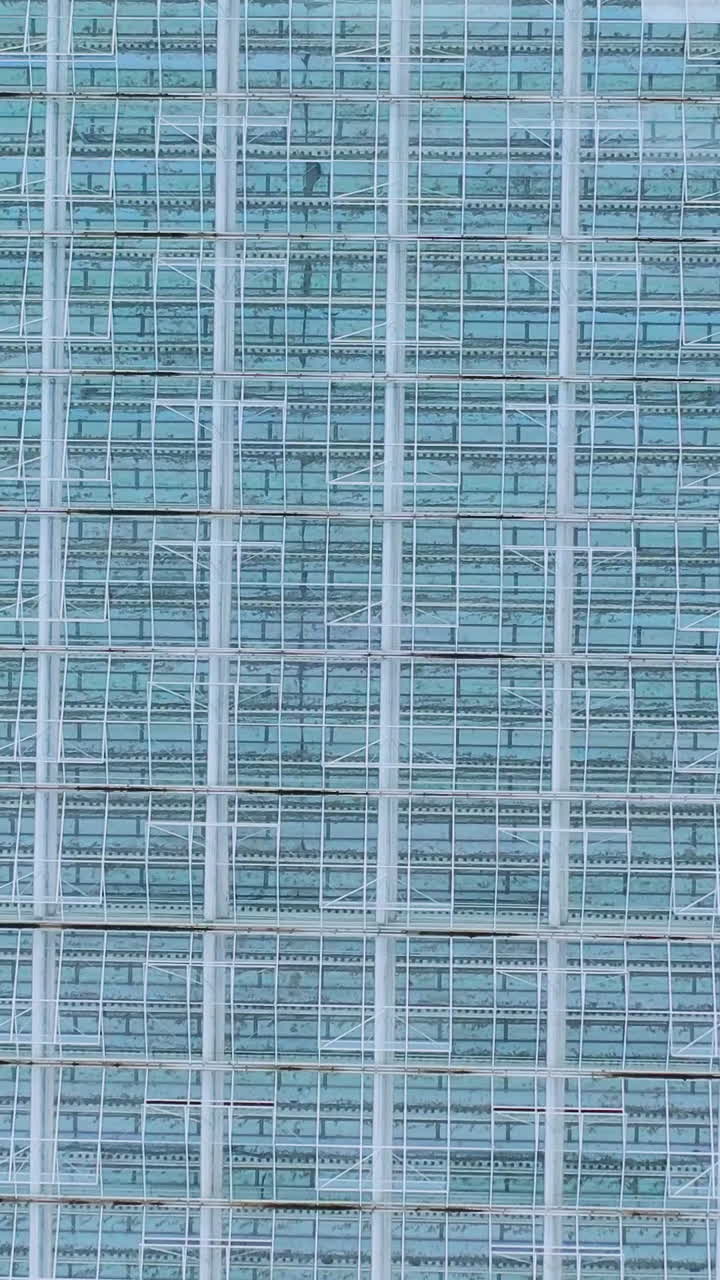 Aerial top view of greenhouse over the glass roof. Indoor farming, heat recovery, power consumption and organic plant protection concept. Vertical video
