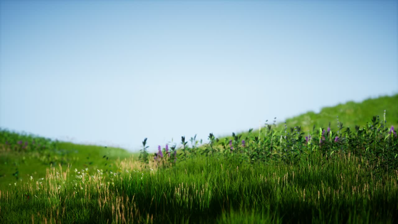 푸른 하늘 아래 초록색 신선한 풀 ⁇