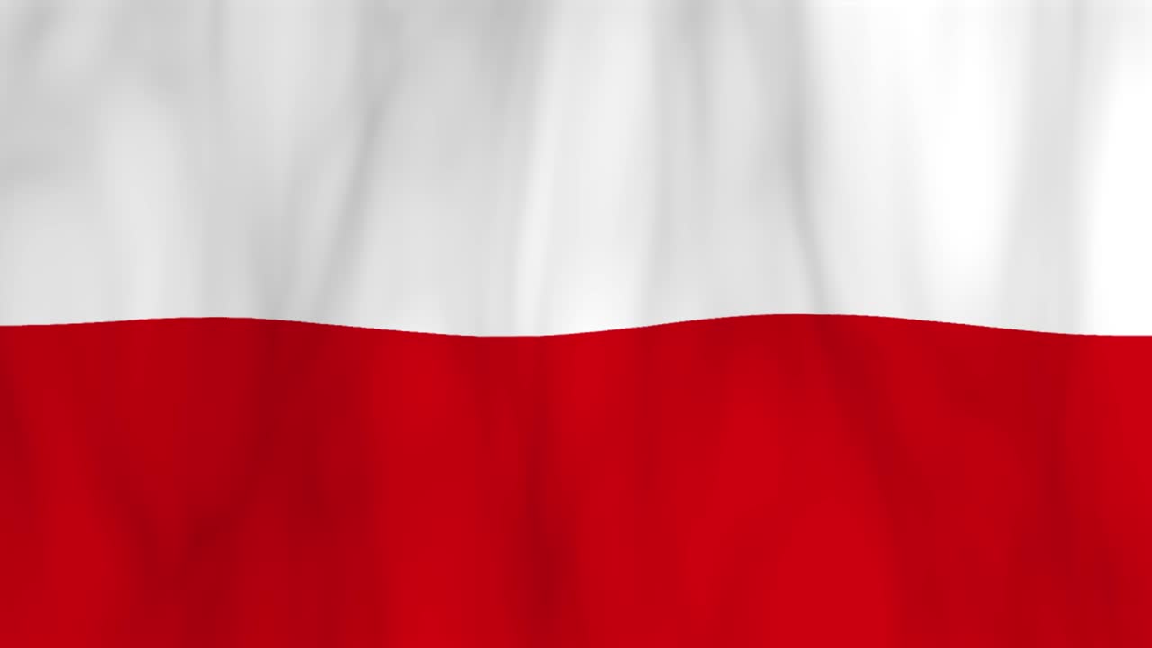 빨간색과 색 줄무가 있는 애니메이션 발