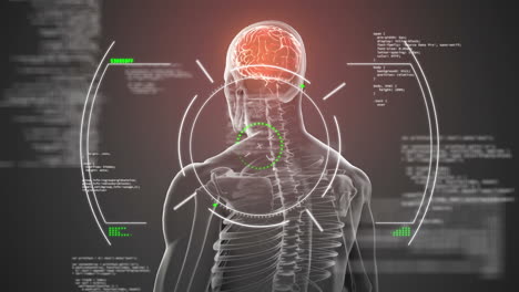 animación del procesamiento de datos sobre el cerebro humano