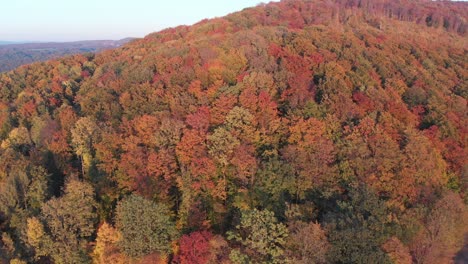 Vista-Aérea-De-Un-Bosque-En-Hermosos-Colores-De-Otoño