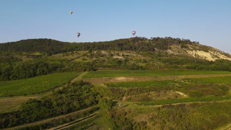 aerial view of the landscape above which hot air balloons rise