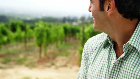 portrait of handsome man holding a wine grape