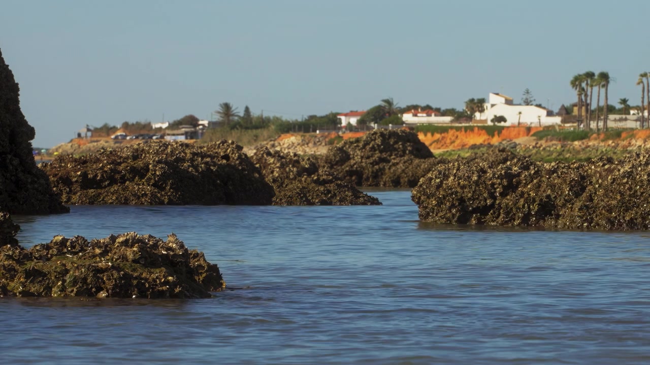 Dettaglio di rocce marine a Playa Micaela vicino a Chipiona, Cadice. Spiaggia deserta con un cielo azzurro e limpido.
