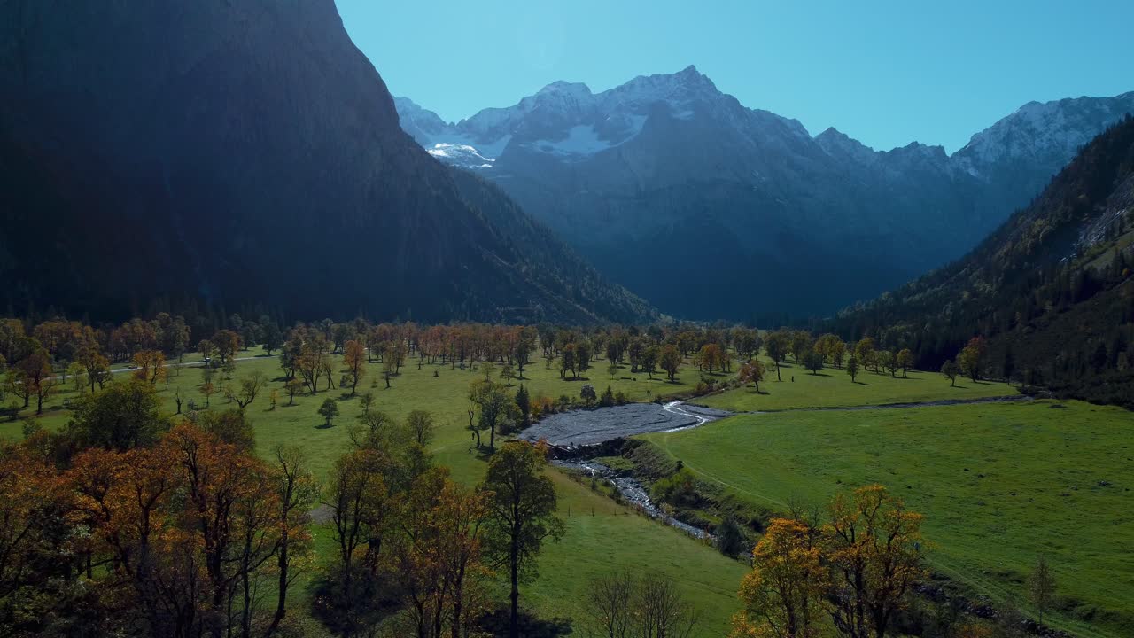 arces vibrantes en ahornboden con coloridas hojas de otoño rojas y amarillas en otoño soleado en las montañas de los alpes en tirol, austria con un bosque en rissach engtal lugar de viaje turístico