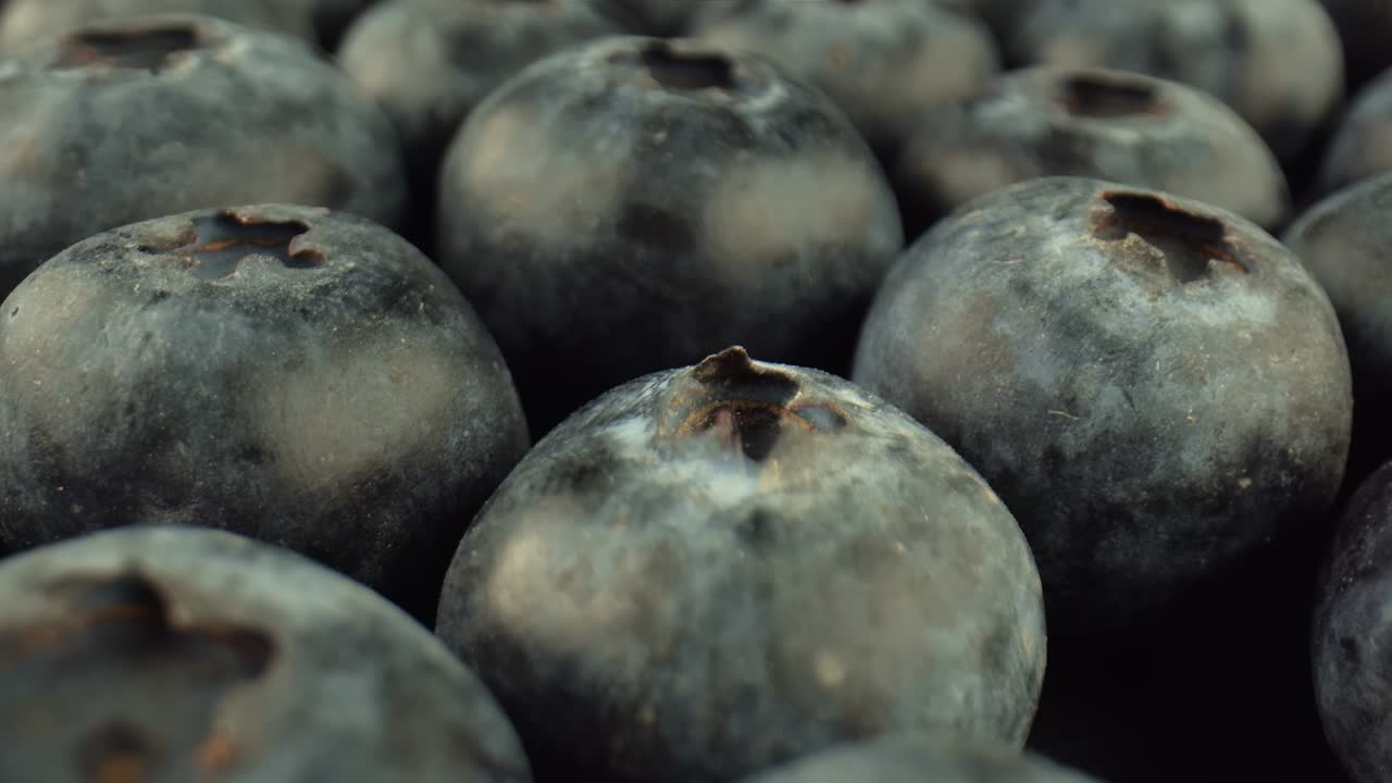 수확 된 블루베리 - 식품 원시 및 디저트 준비에 블루베리의 사용 - 건강한 채식 음식