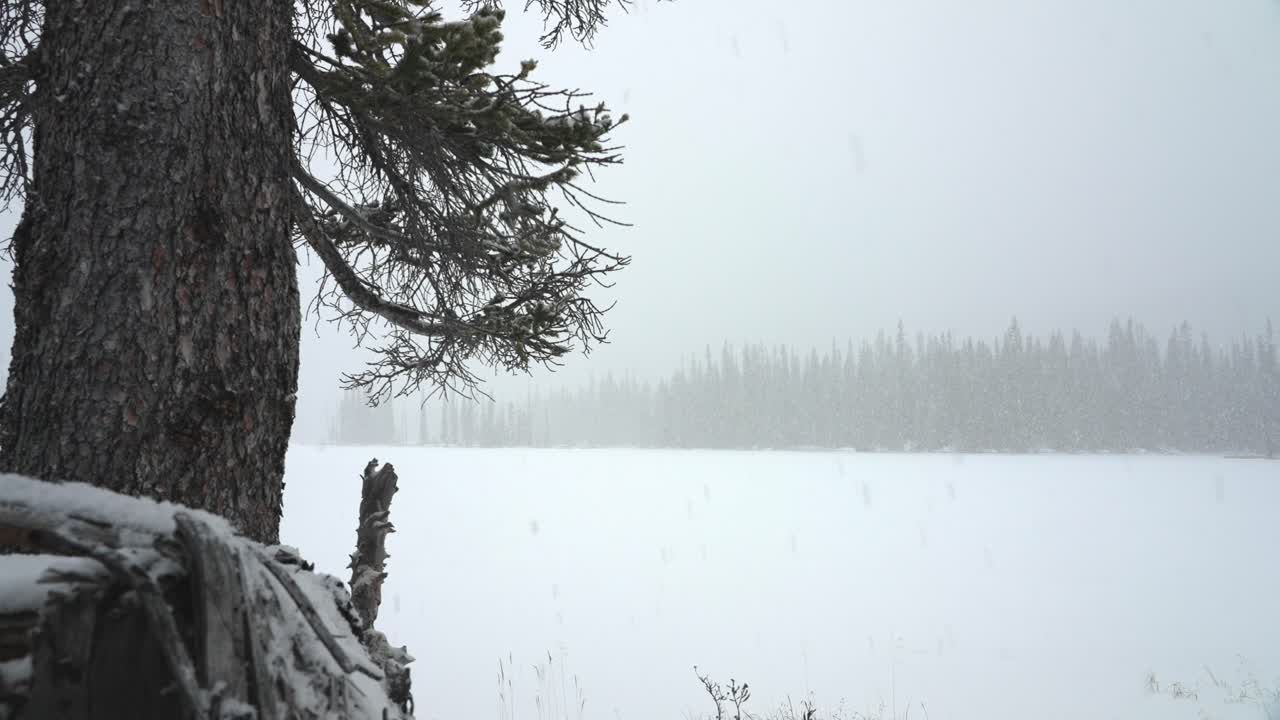 Panning shot of a snowy day in the mountains with the frozen lake.