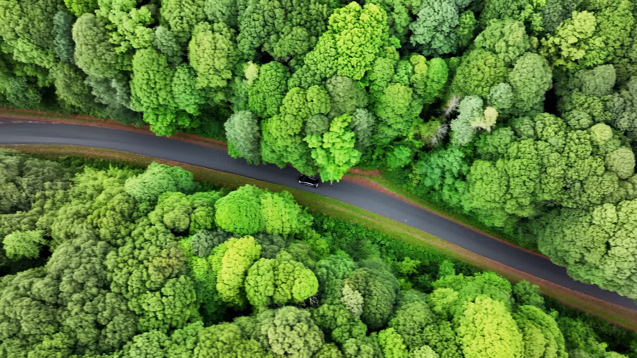 Aerial Forest Road With Car, Topdown Drone Shot Showing Solitary Vehicle Winding Along Asphalt Route