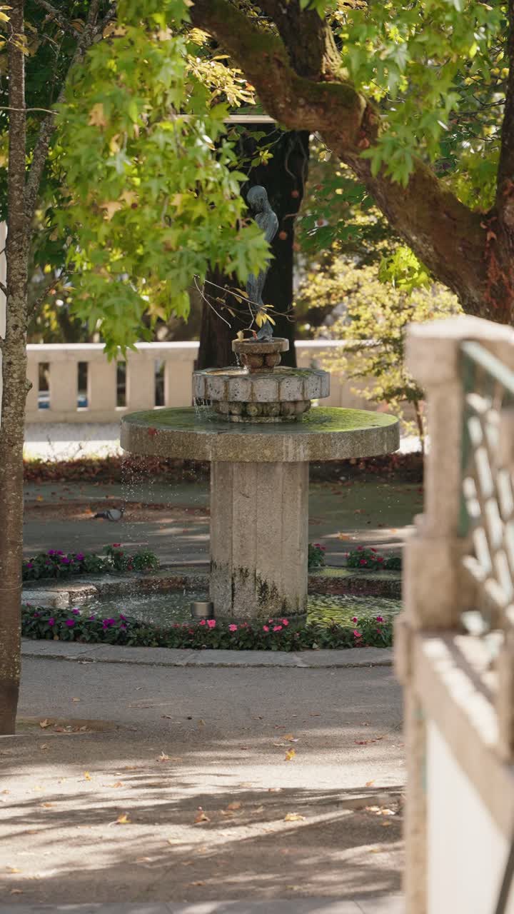 Vertical view of a charming stone fountain surrounded by trees and flowers in the historic center of Guimarães, Portugal