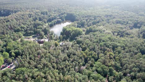 volando sobre el bosque con lago