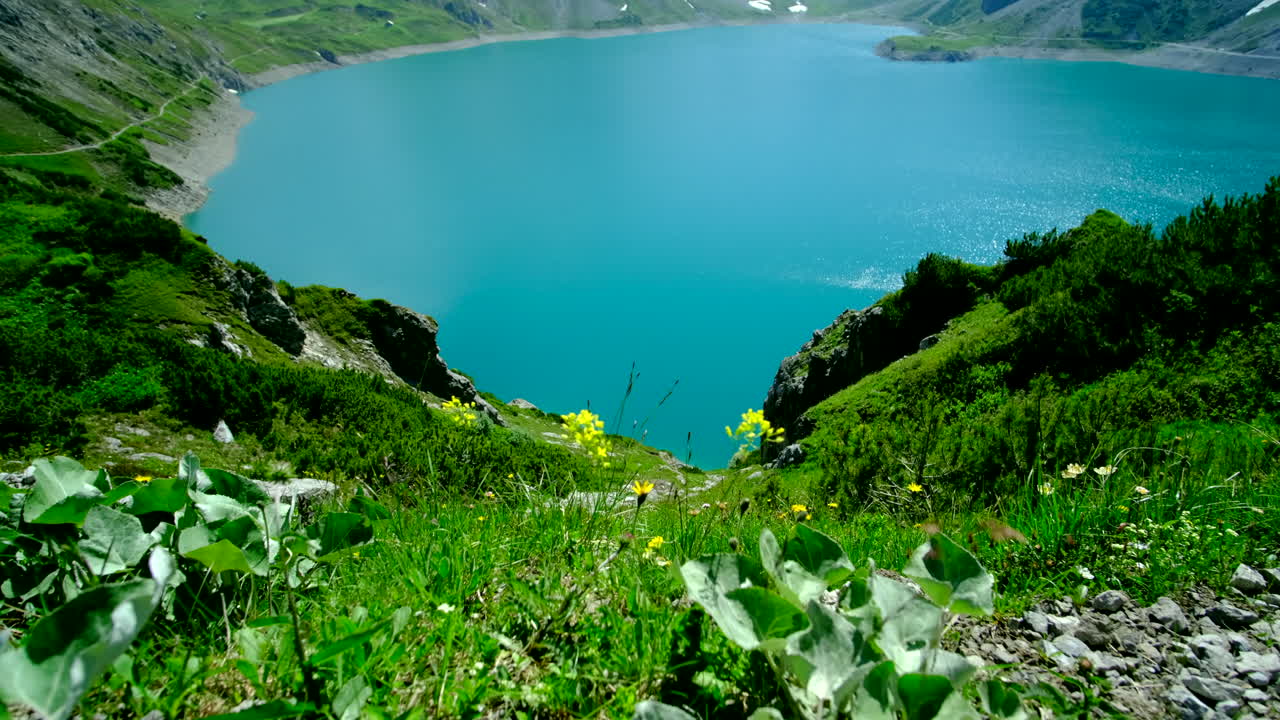 파란 호수 의 수영장 모양