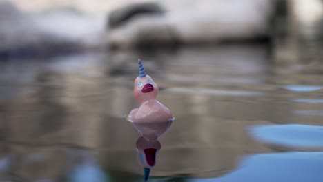 a rubber duck with a unicorn horn floats in a pond, slow motion