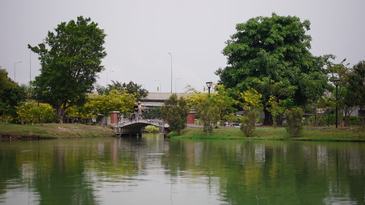 Cầu bắc qua ao trong công viên