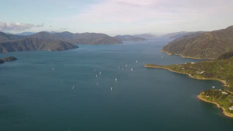 Sailboats-Cruising-At-Calm-Waters-Of-Queen-Charlotte-Sound-Near-Picton-In-Marlborough,-New-Zealand