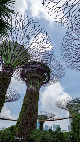 the gardens by the bay in singapore in vertical