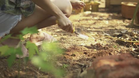 indian girl sitting on her haunches digs and plants seedling in soil, slowmo