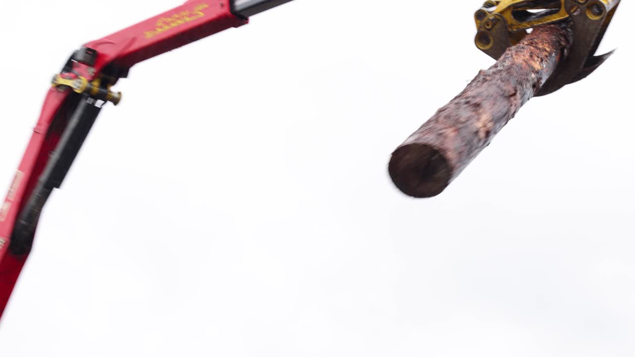 Una pesante gru industriale a benna solleva in sicurezza un grande tronco di legno e lo deposita in un semirimorchio.