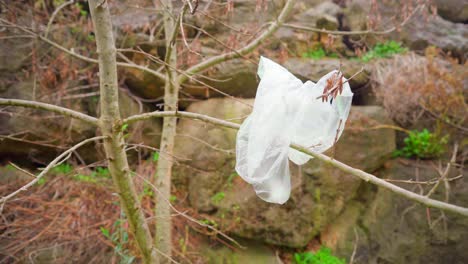 Plastic-bag-discarded-in-forest,-stuck-in-a-tree-next-to-a-cliff,-pollution-and-littering-in-nature