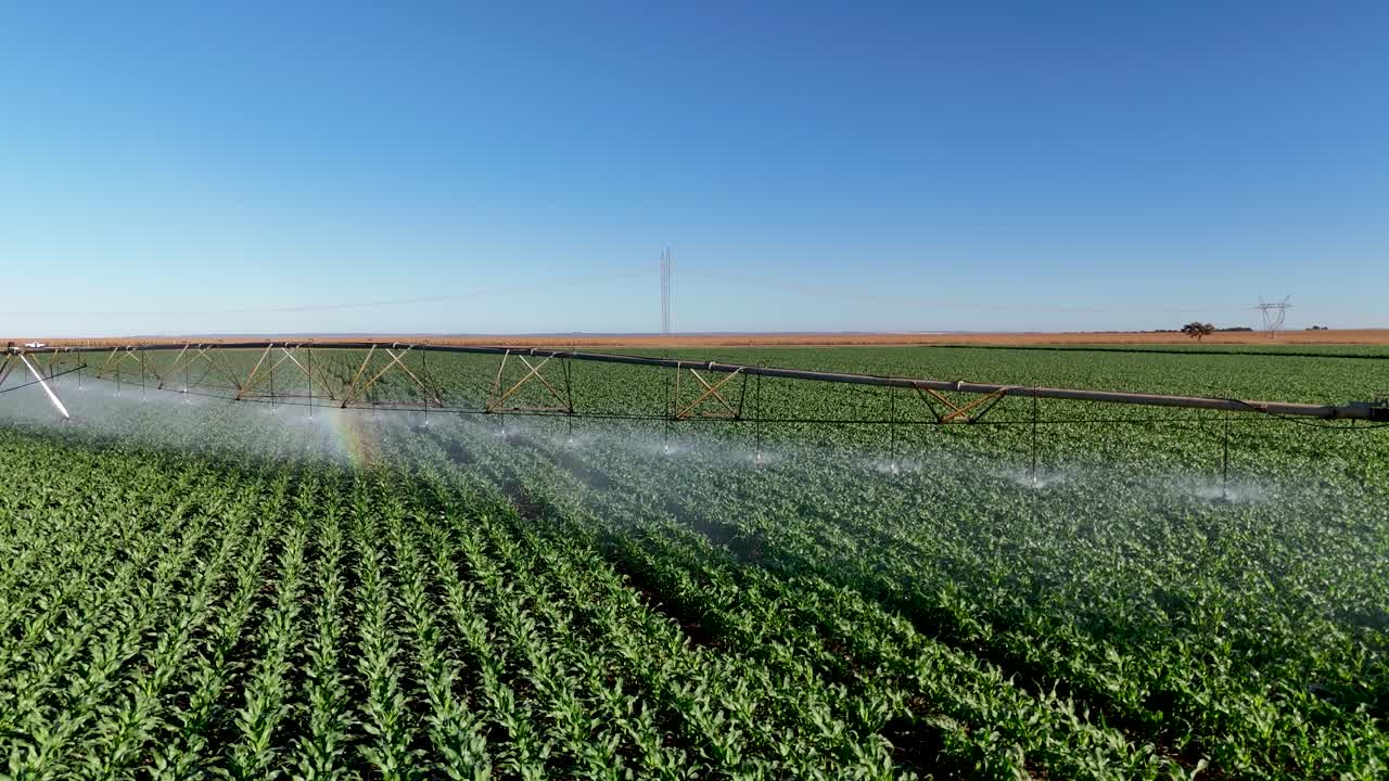 Drone view of corn field being irrigated by center pivot system - Goiás, Brazil