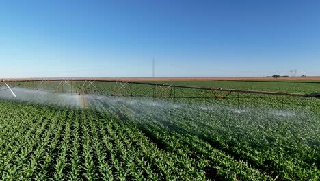 drone view of corn field being irrigated by center pivot system - goiás, brazil