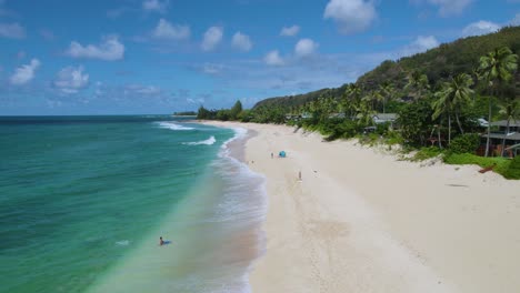 bird's eye view over people on vacation enjoying sunny day on tropical beach of north shore oahu, hawaii island