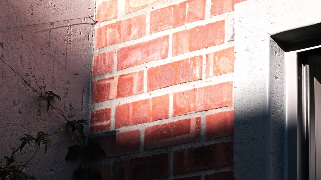 Warm sunlight shines onto an exposed brick wall of a house