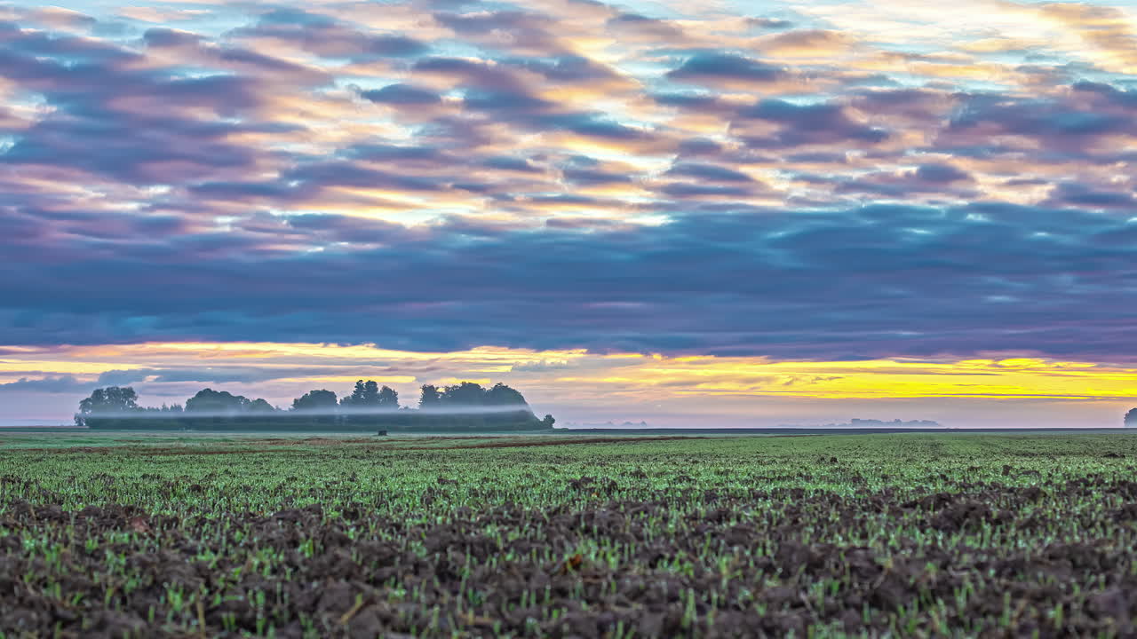 어두운 구름이 떠다니며 빽빽한 구름 덮개를 형성하는 거대한 초원의 넓은 촬영 타임랩스
