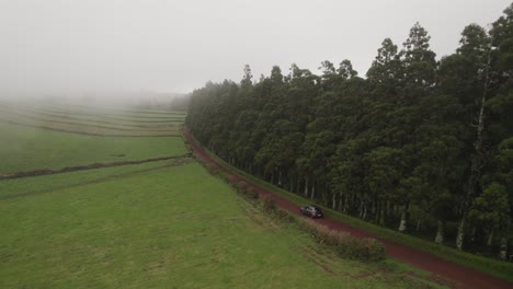 El-Coche-Conduce-Por-Un-Camino-De-Tierra-Junto-A-Un-Carril-Alto-De-árboles-Y-Pastos-Agrícolas-En-El-Campo-En-Una-Mañana-Nublada