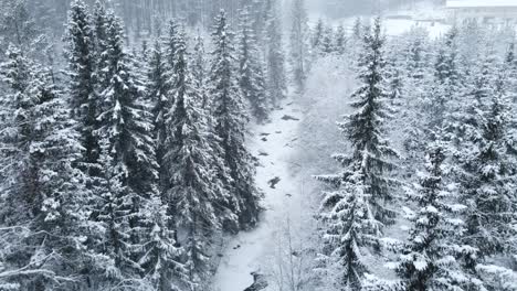 a flight over a frozen river nestled between majestic pines during a heavy snowfall