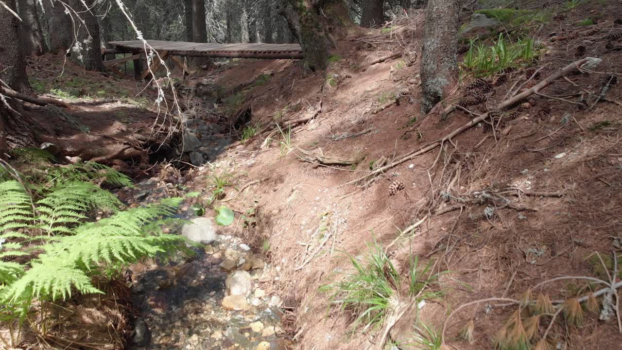 arroyo de montaña en la montaña de rila, bulgaria, drone filmando a través del bosque sobre un pequeño arroyo cuesta abajo entre plantas
