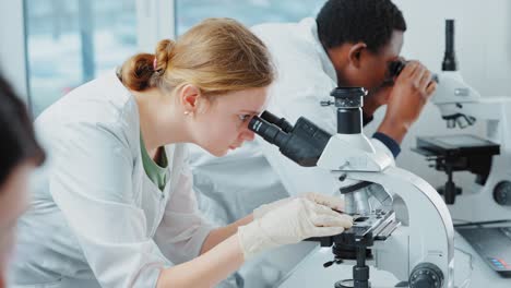 científicos que usan microscopios en un laboratorio